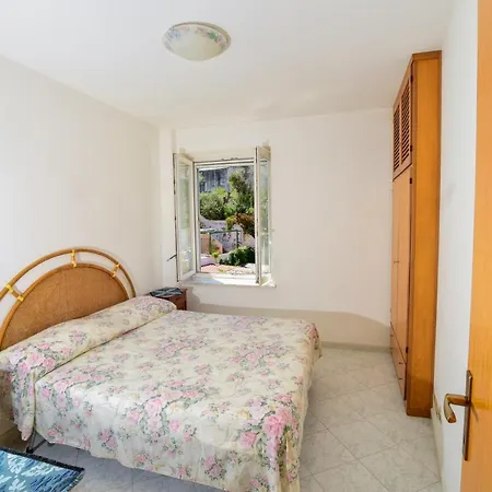 Solemareponza Rosy
